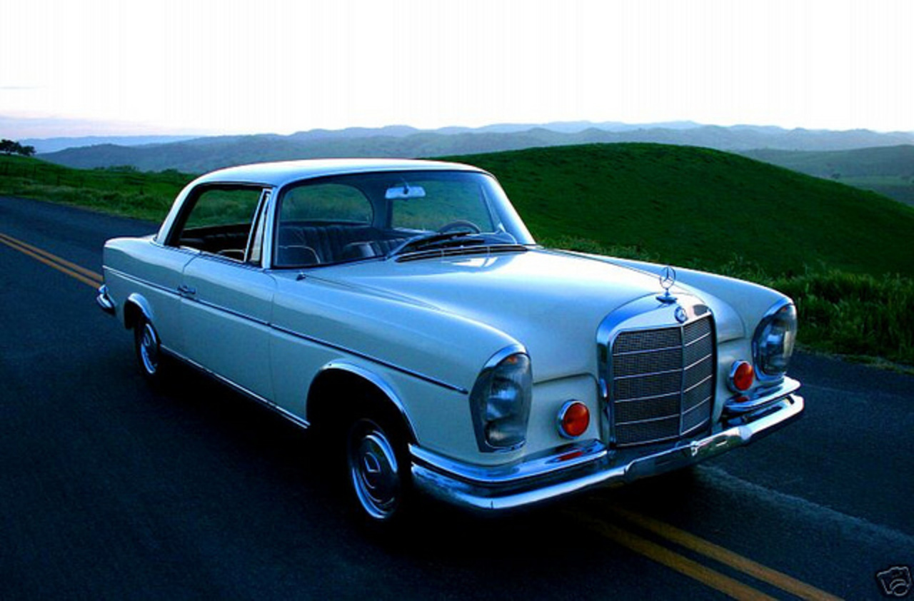 TopWorldAuto >> Photos of Mercedes-Benz 250SE coupe - photo galleries