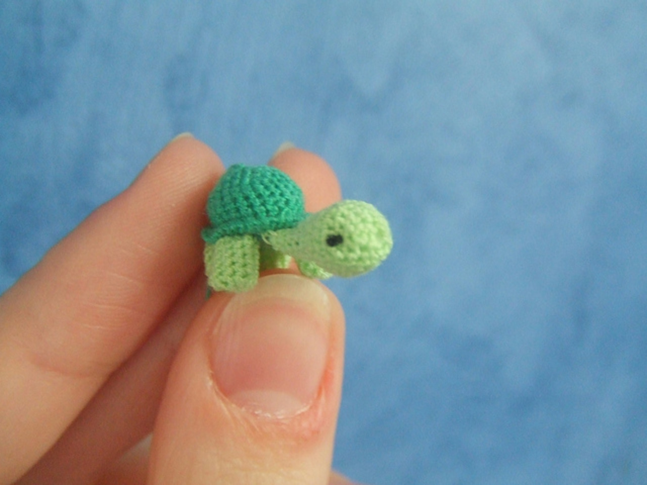 Mini-Mini Amigurumi Turtle | Flickr - Photo Sharing!