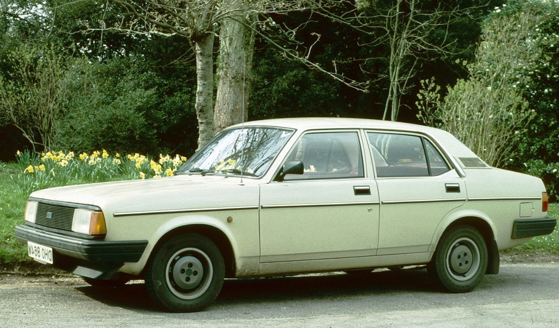 File:Morris Ital with Spring flowers.jpg - Wikimedia Commons
