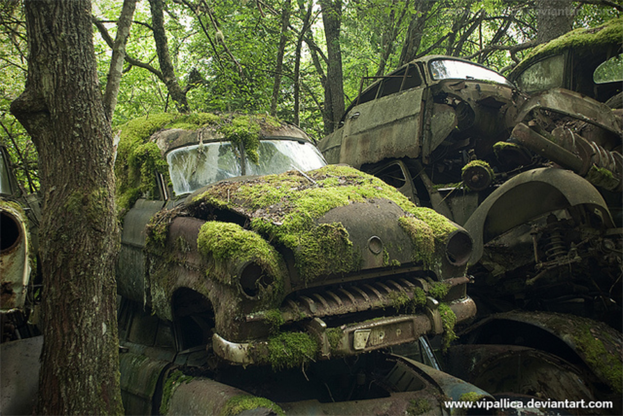 Opel KapitÃ¤n, Car Cemetery, Sweden | Flickr - Photo Sharing!
