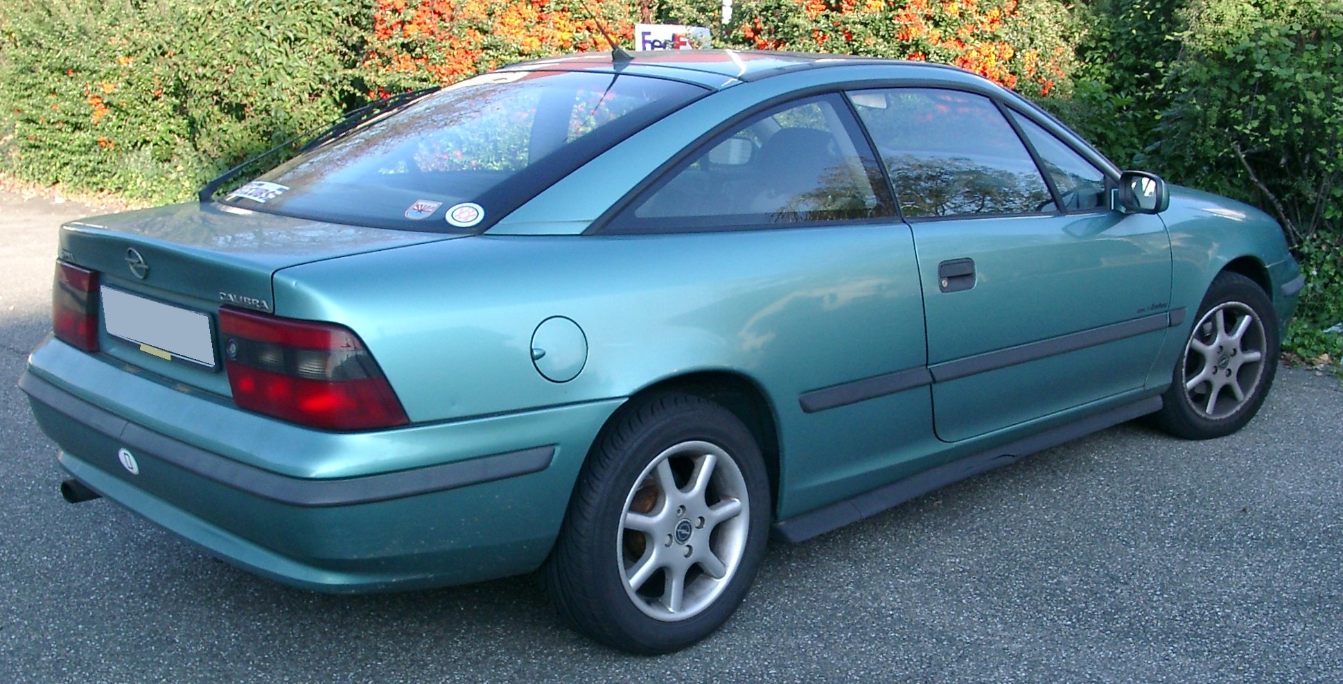 File:Opel Calibra rear 20071007.jpg - Wikimedia Commons