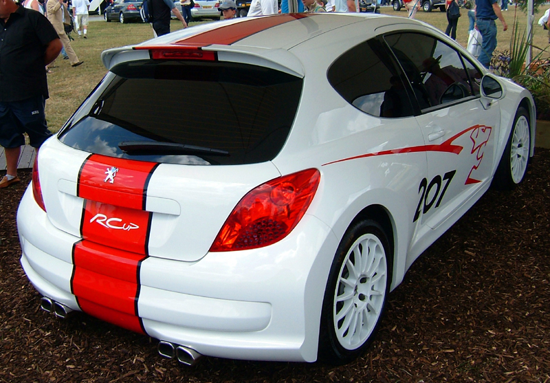 Peugeot 207 rcup