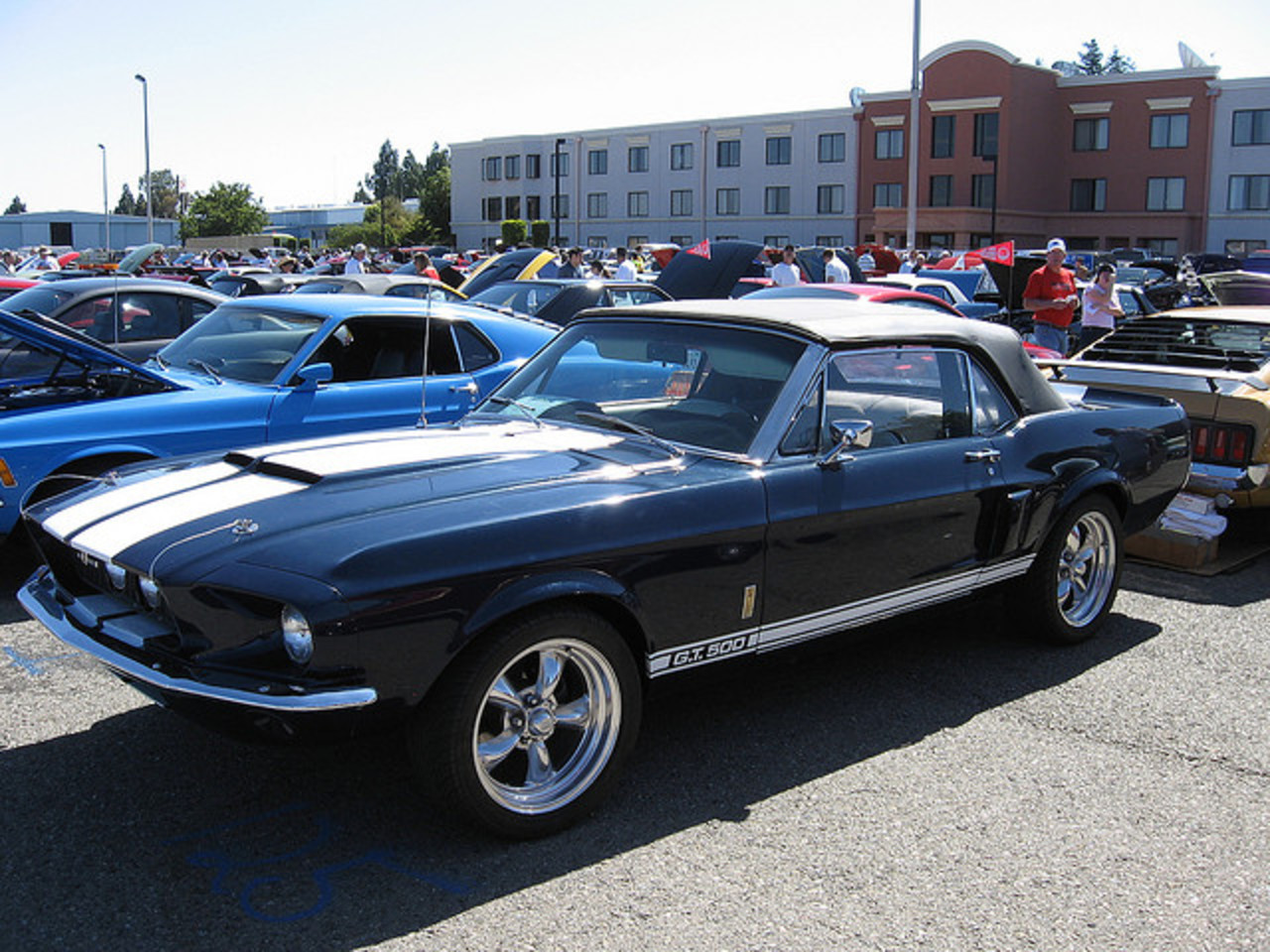 1967 Shelby Mustang GT-500 Convertible | Flickr - Photo Sharing!