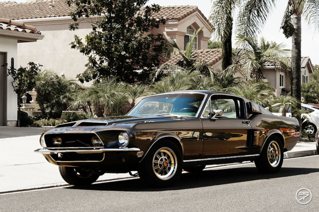 1968 Shelby GT 350 | Flickr - Photo Sharing!