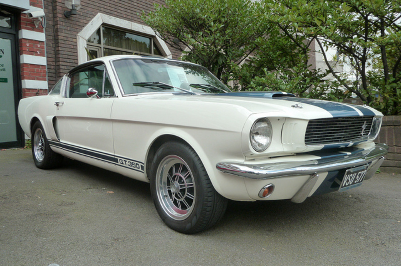 Shelby GT350 Fastback | Flickr - Photo Sharing!
