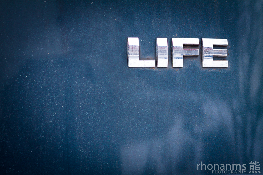 LIFE | Flickr - Photo Sharing!
