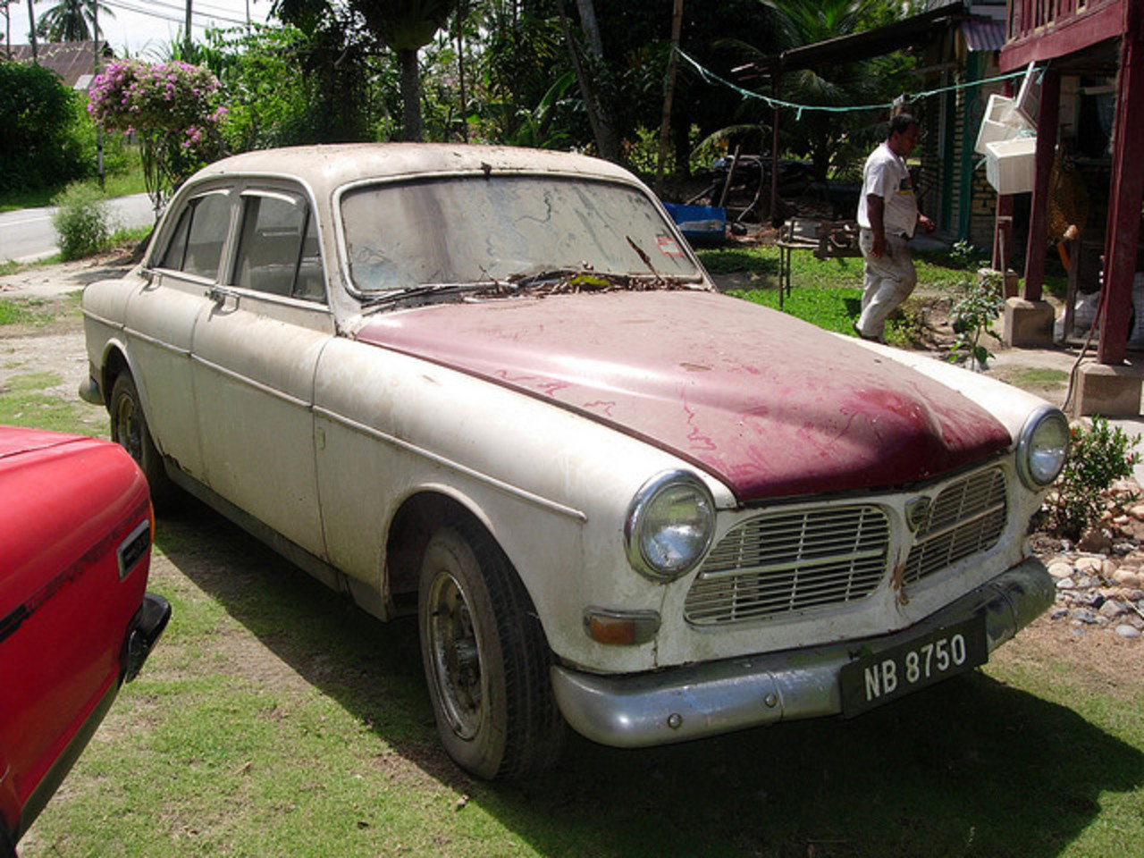 Volvo 122s Amazon - IS BACK | Flickr - Photo Sharing!