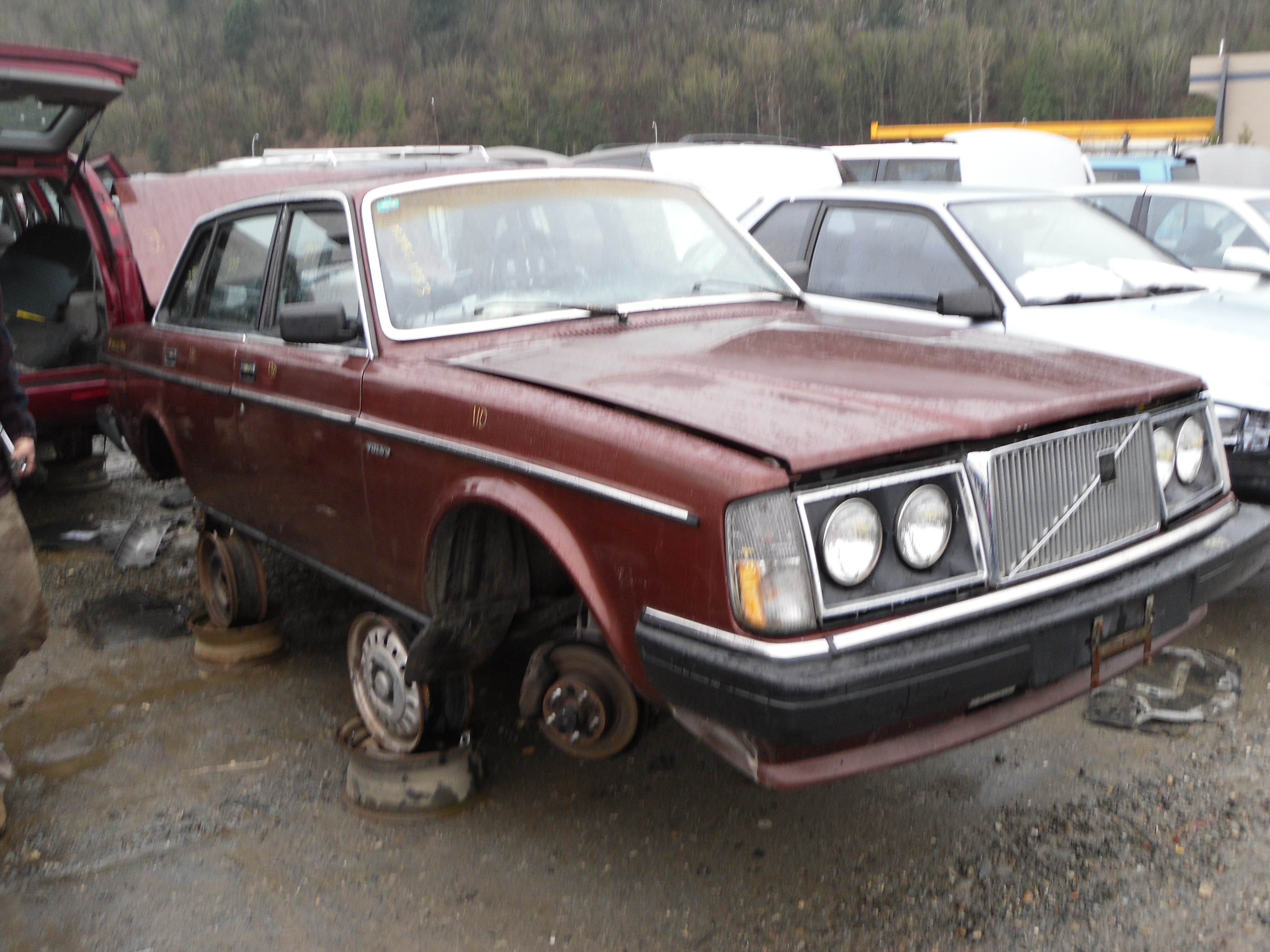 Volvo 244 in BC junkyards 2013 | Flickr - Photo Sharing!