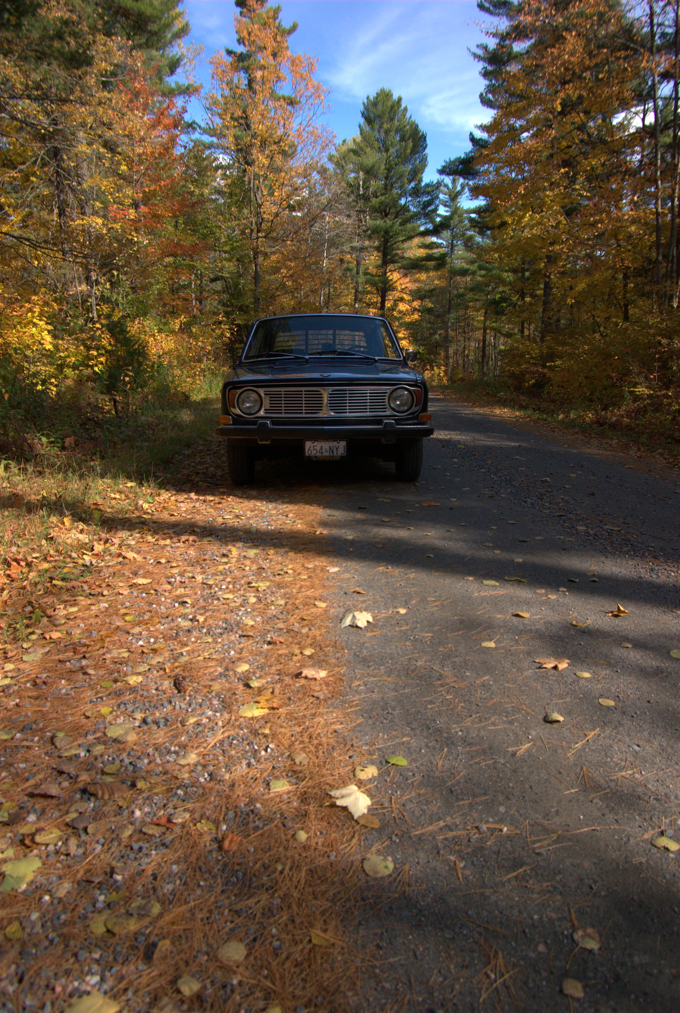 Volvo 142S in autumn woods | Flickr - Photo Sharing!