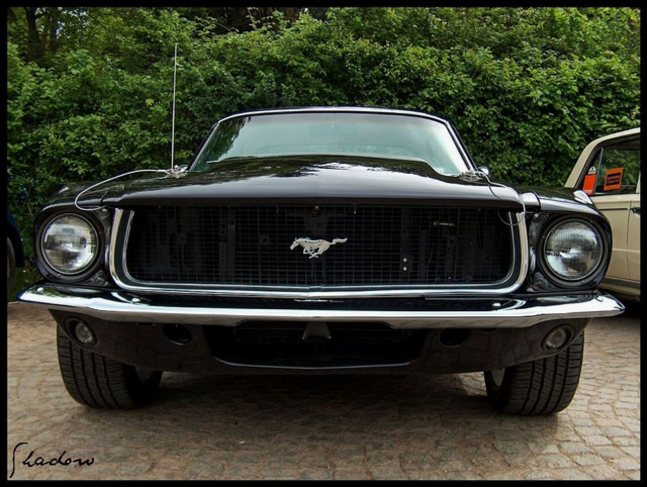 FORD MUSTANG FASTBACK | Flickr - Photo Sharing!