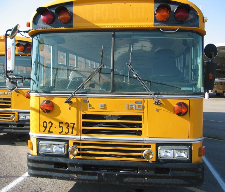 TopWorldAuto >> Photos of Blue Bird School Bus photo galleries