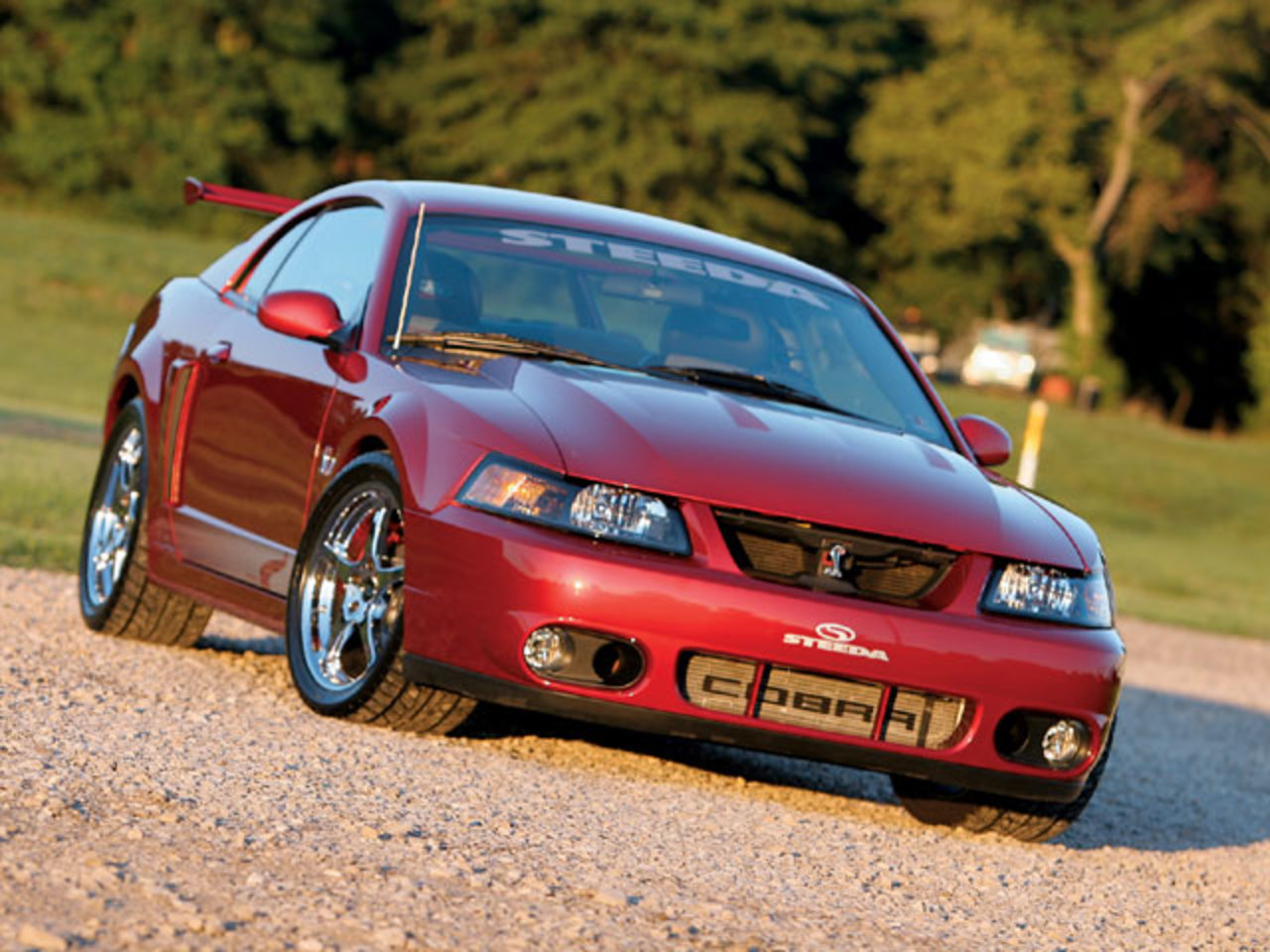 Mustang Cobra 2003