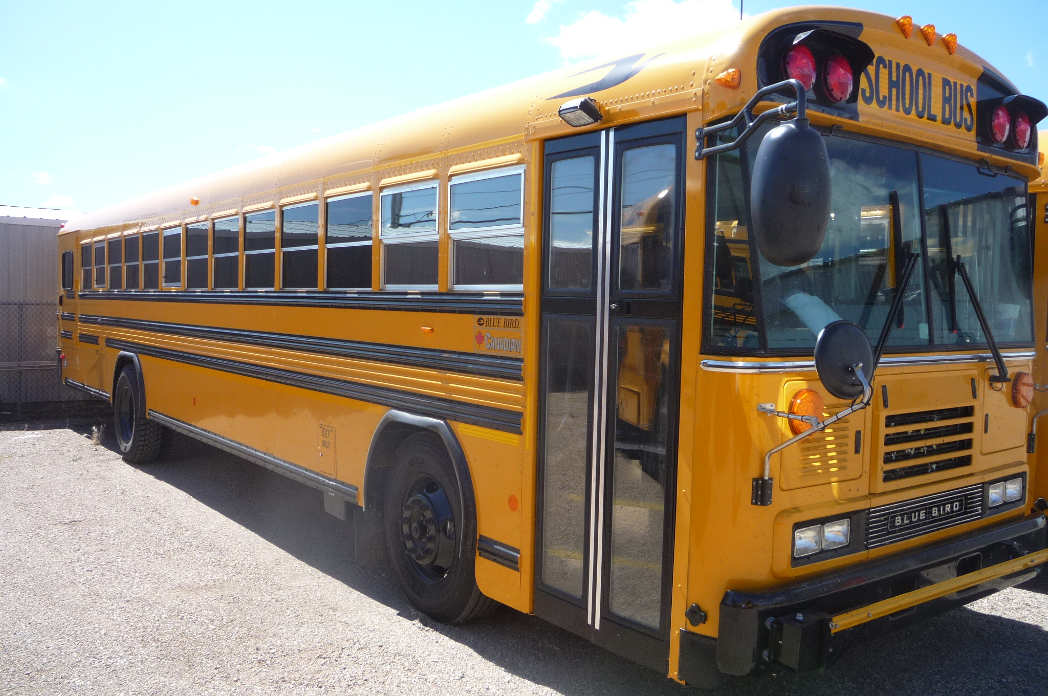TopWorldAuto >> Photos of Blue Bird School Bus photo galleries