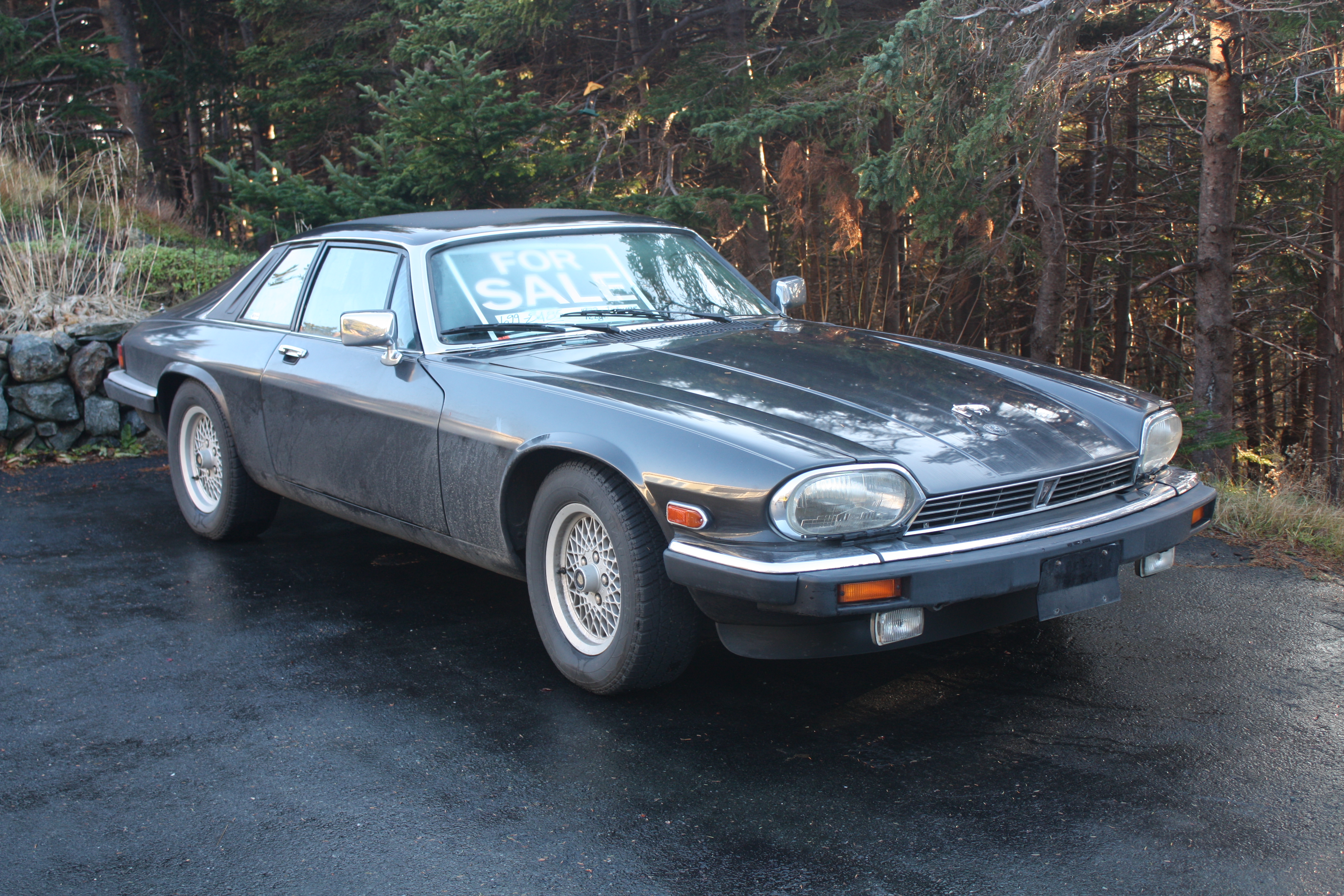 Jaguar XJS v12