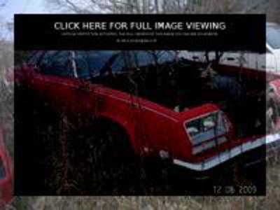 Oldsmobile Cutlass Supreme 2dr HT (05 image)