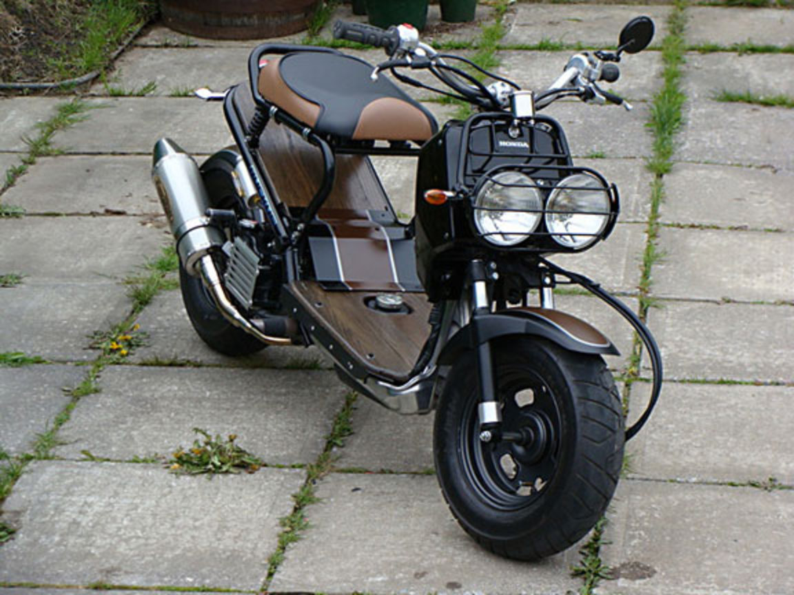 Honda Ruckus Offroad