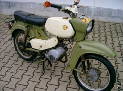 Simson habicht