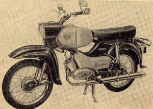 Simson habicht