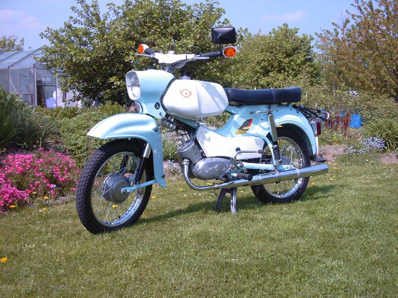 Simson habicht