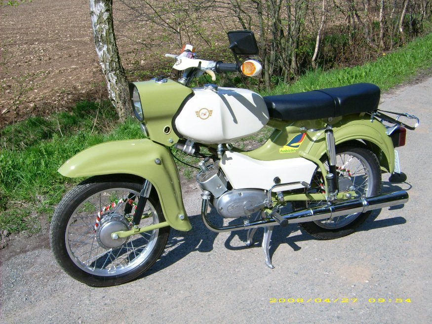 Simson habicht