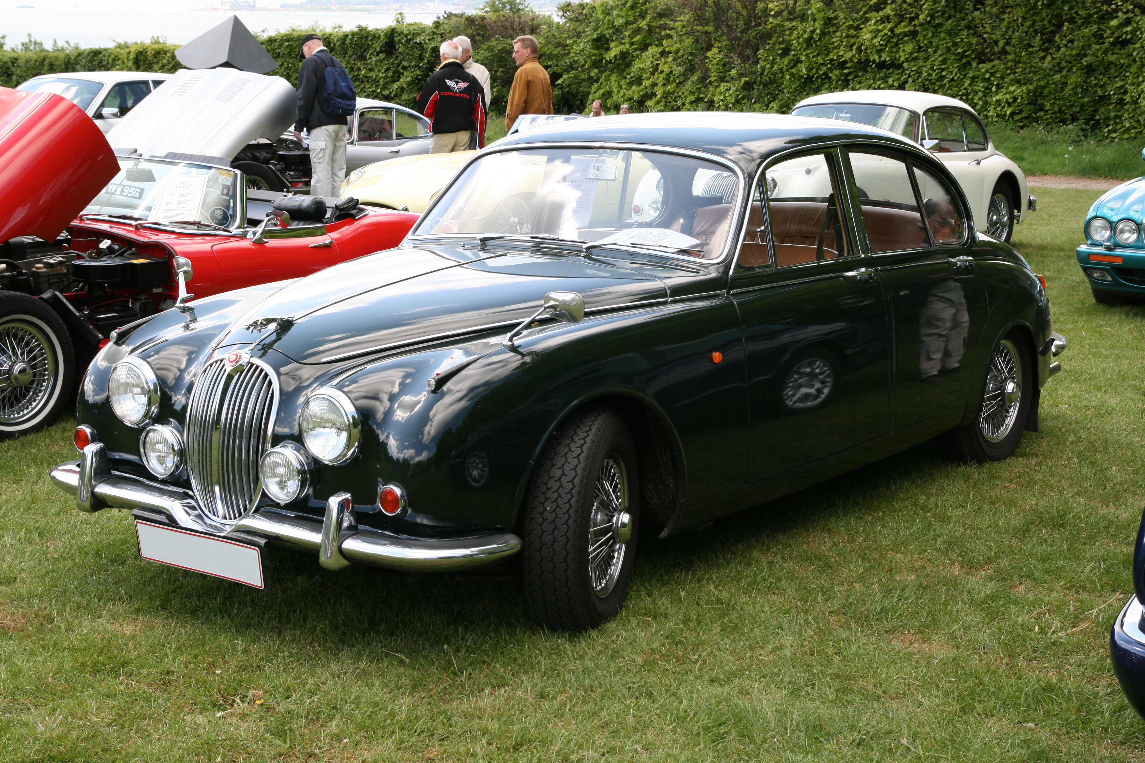 Jaguar 240