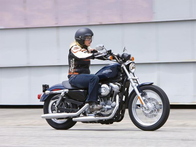 Harley-davidson low