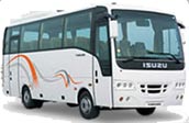 Isuzu bus