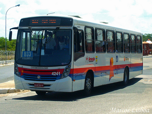 Neobus mega