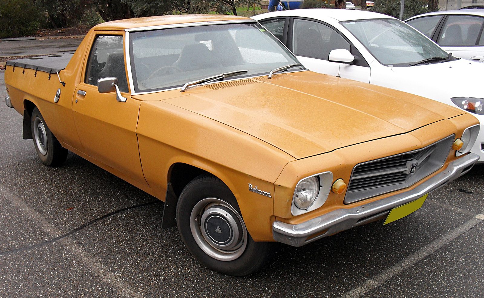 Holden belmont