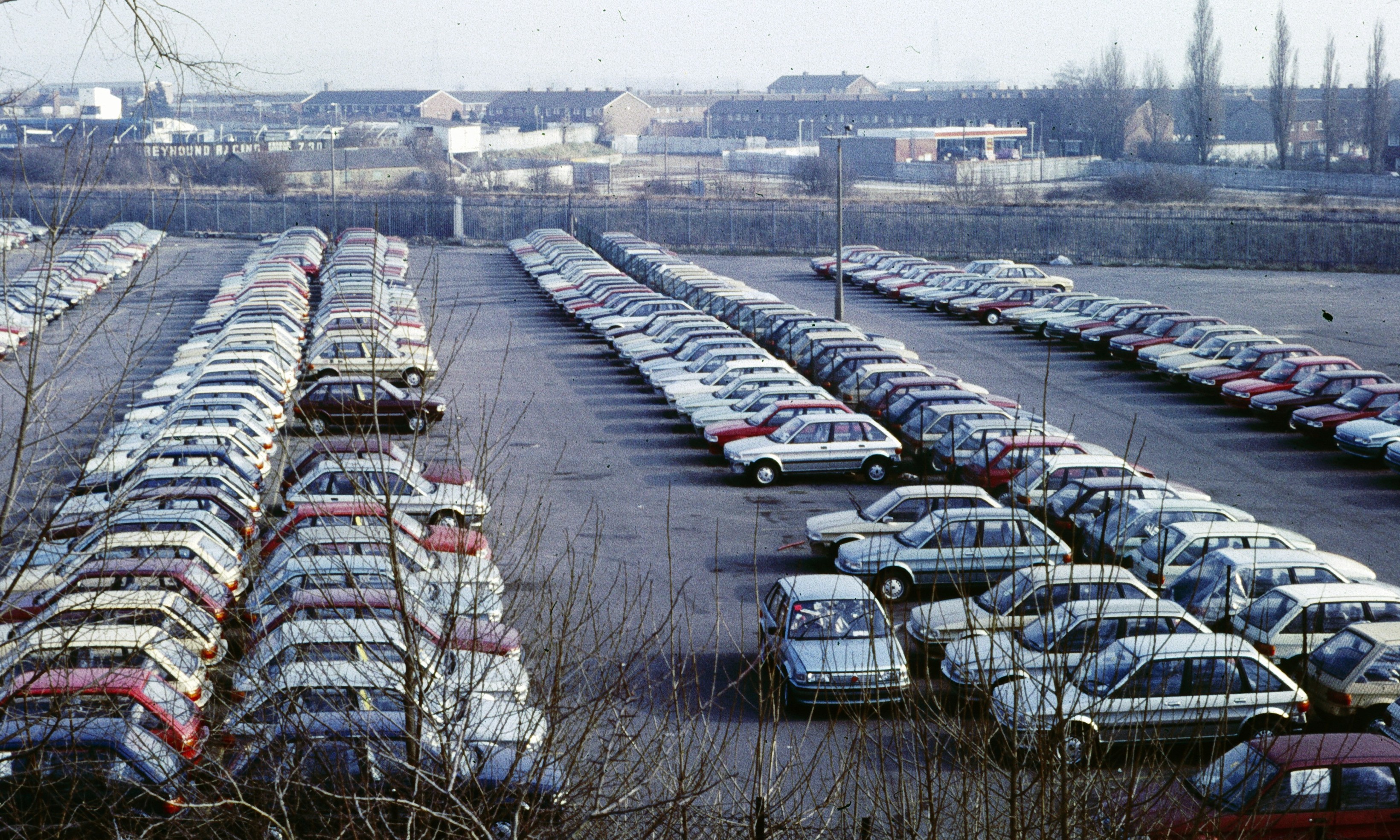 Austin Maestro