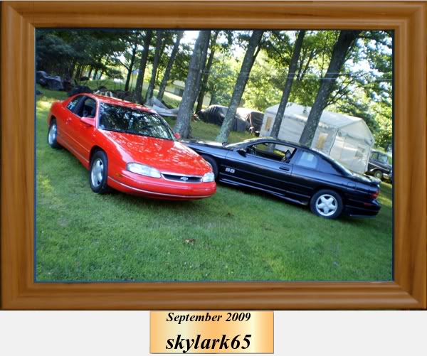 Chevrolet Monte Carlo SS Tony Stewart Edition