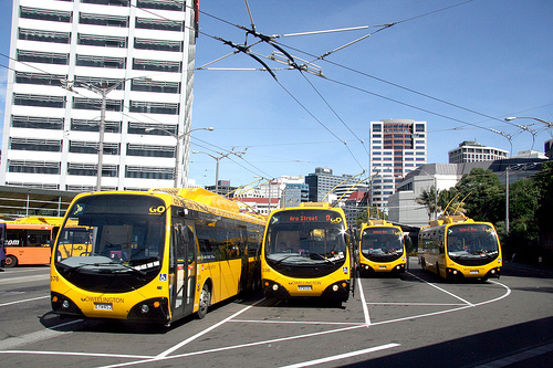 Designline City Bus Trolley