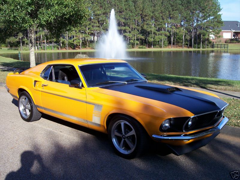 Ford Mustang Boss 302 back