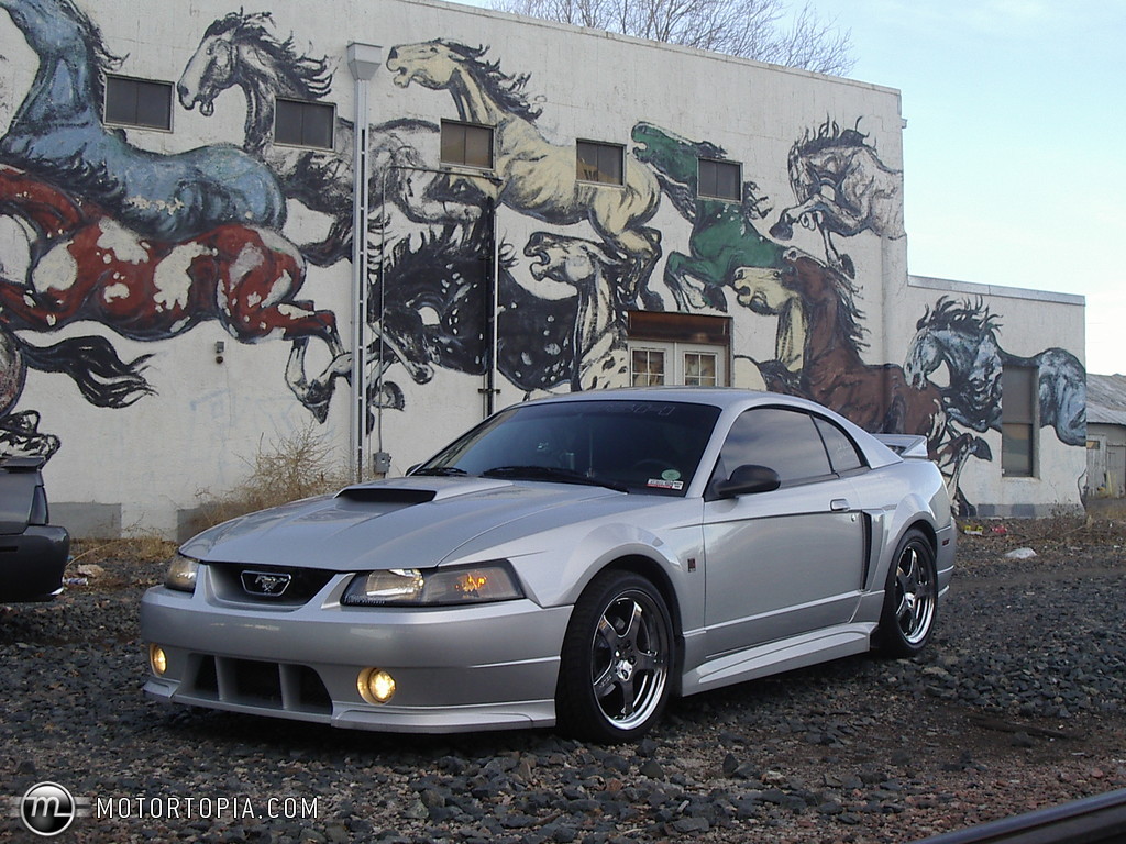 Ford Mustang Roush Stage 2