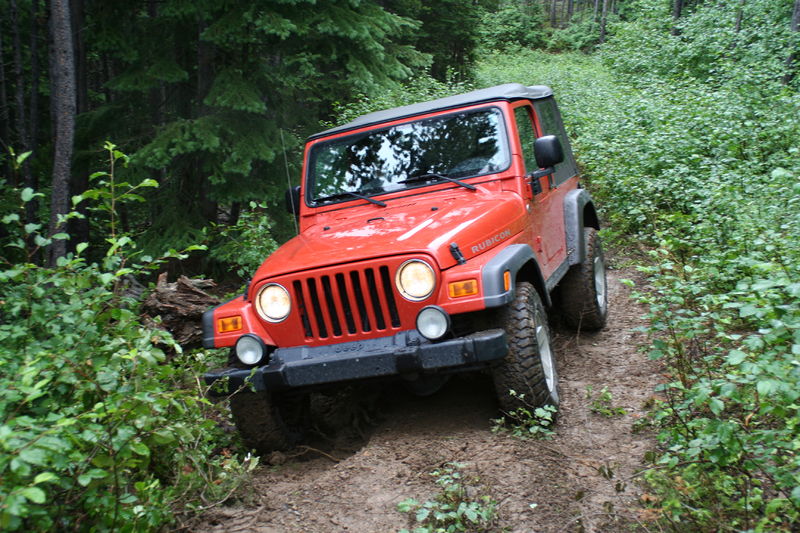 NEKAF Jeep 14 TON 4X4 M38A1