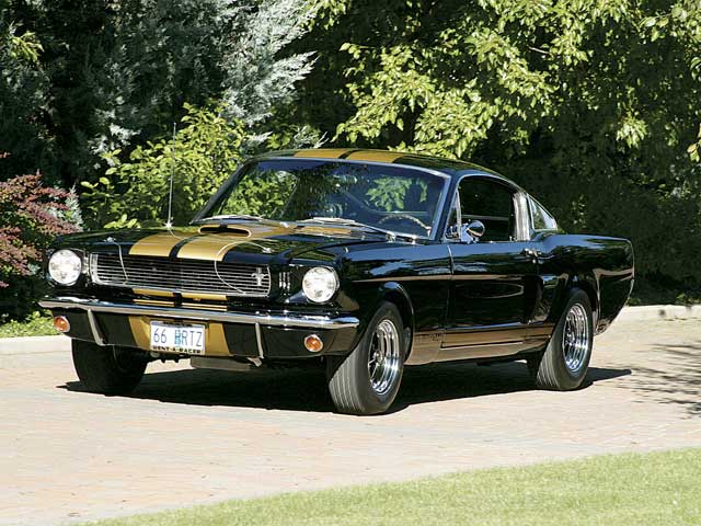 Shelby GT 350H