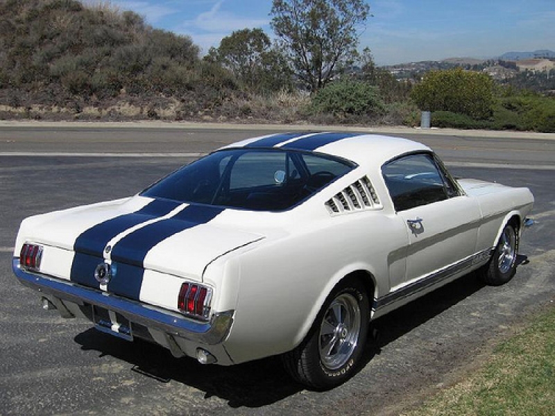 Shelby GT350 fastback