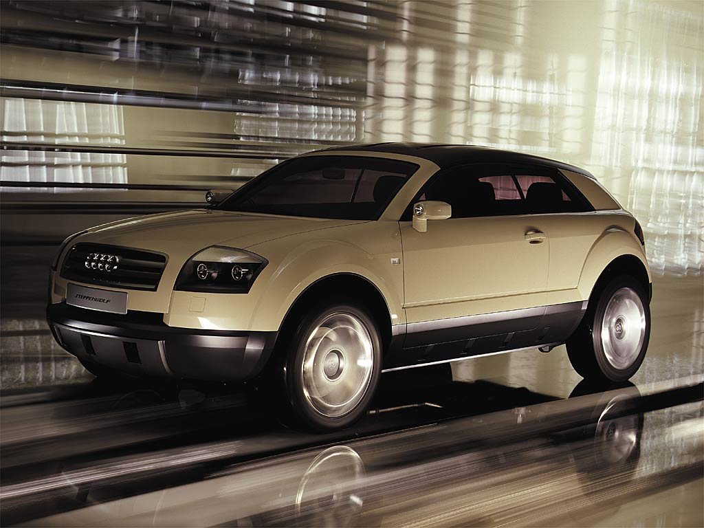 Audi steppenwolf