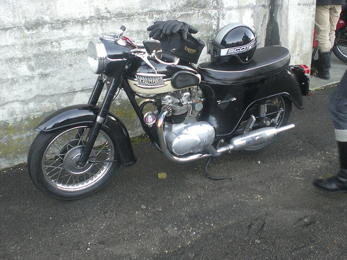 Triumph twenty-one