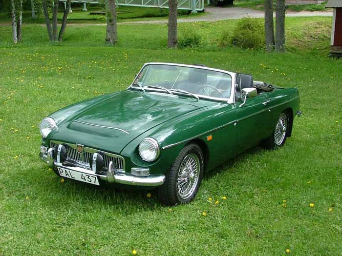 Mg mgc