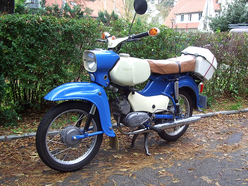 Simson sperber