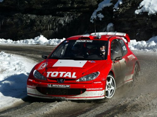 Peugeot rally