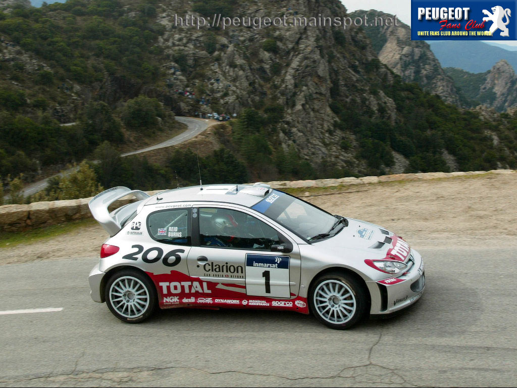 Peugeot rally