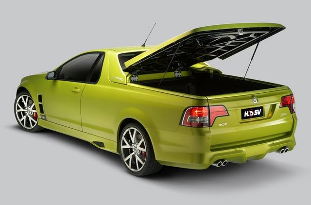 Holden maloo