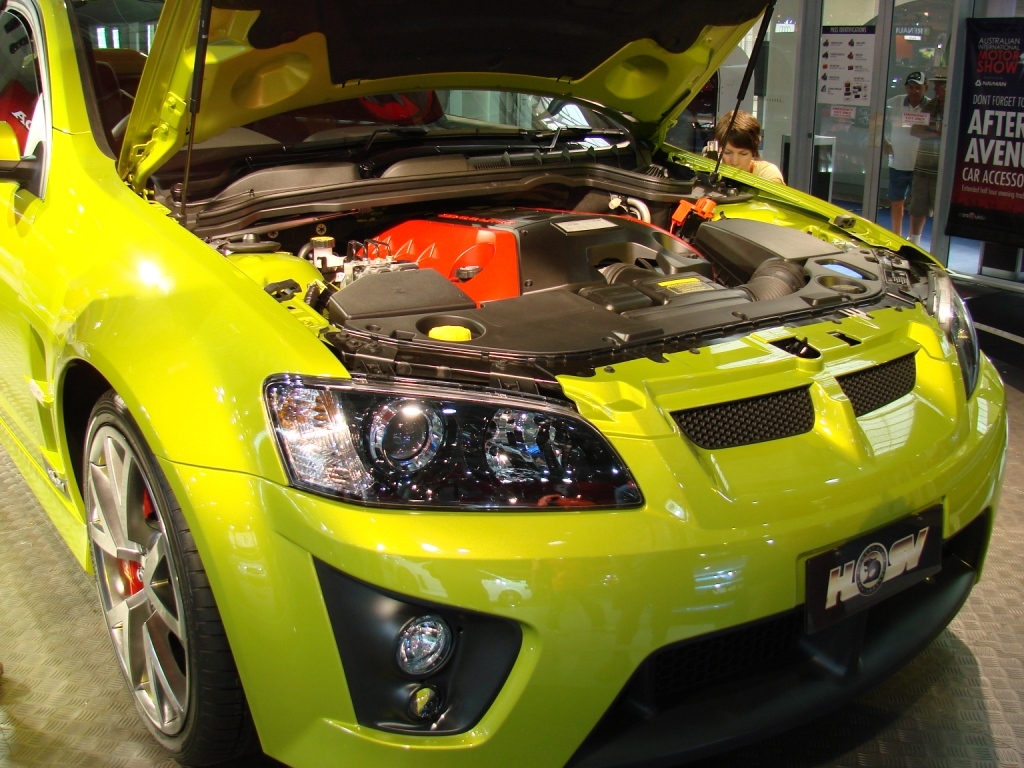 Holden maloo