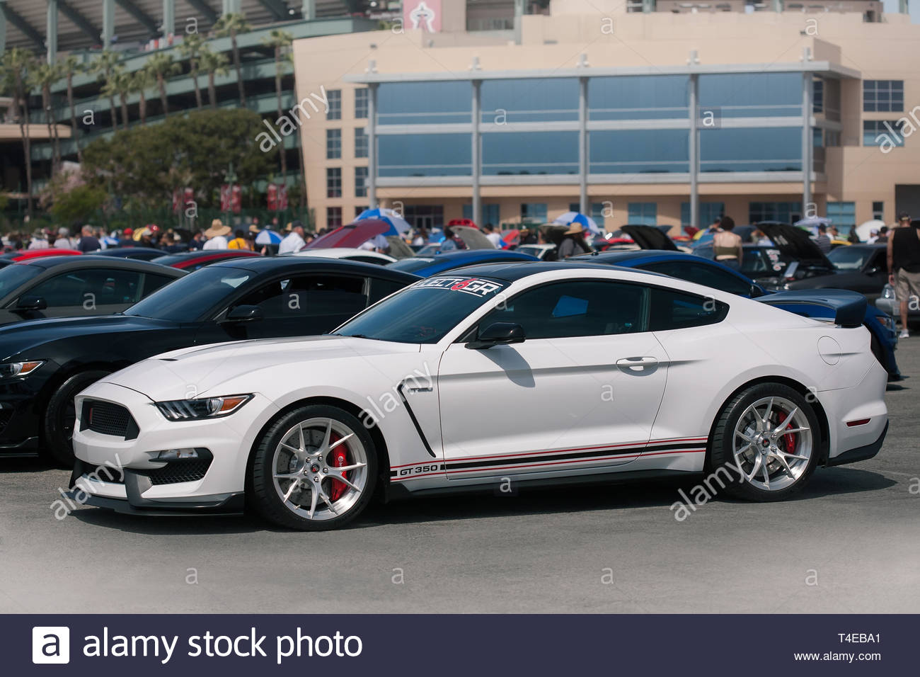 Topworldauto Photos Of Ford Mustang Gt 350 Photo Galleries